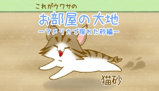 【猫砂】これがウワサのお部屋の大地〜アメリカで採れた砂編〜