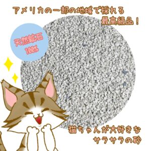 お部屋の大地〜アメリカ編〜砂アップ