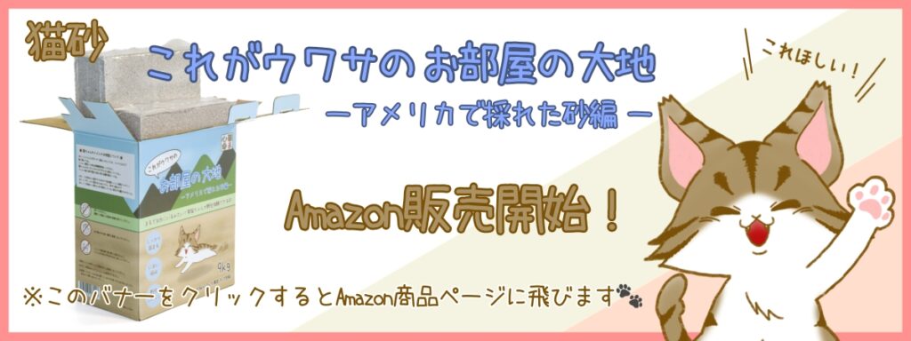 Amazon販売開始
