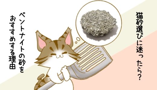 猫砂選びに迷ったら？ベントナイトの砂をおすすめする理由