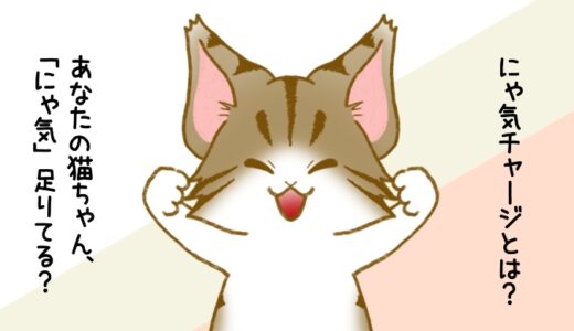 【にゃ気チャージとは？】あなたの猫ちゃん、「にゃ気」足りてる？